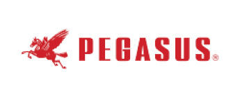 Pegasus